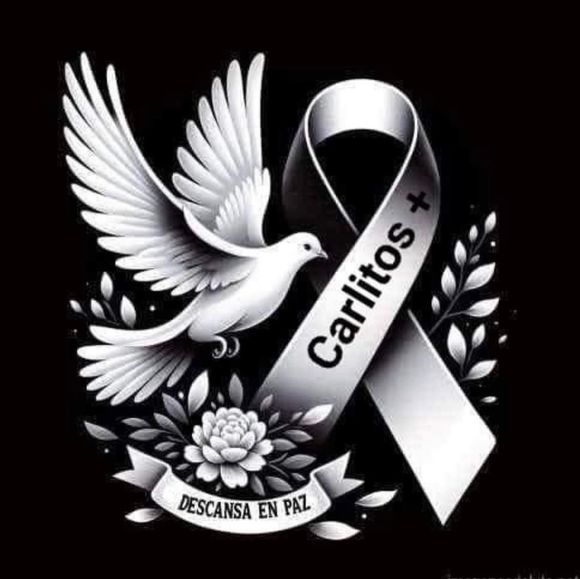 Meet your Posher, Judy - Picture 1 of 1